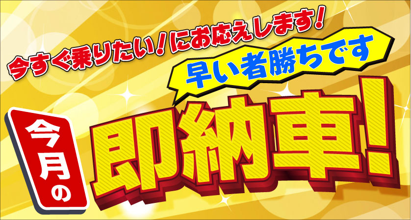 今月の即納車